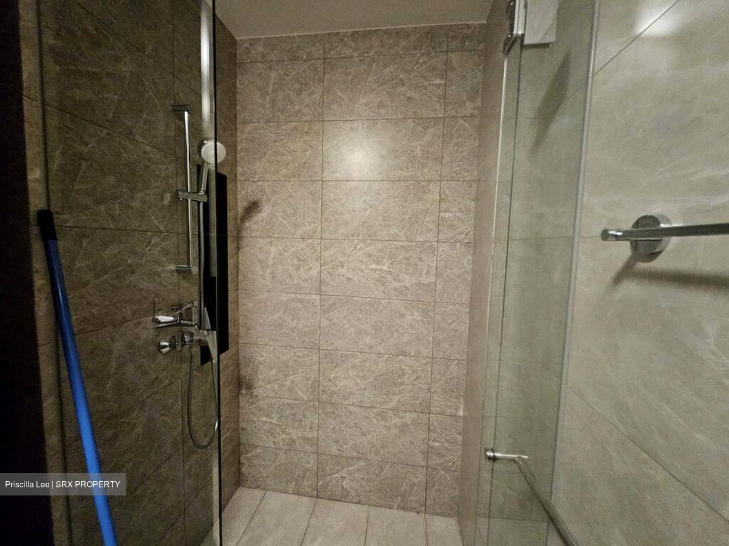 Parc Clematis (D5), Apartment #502507221